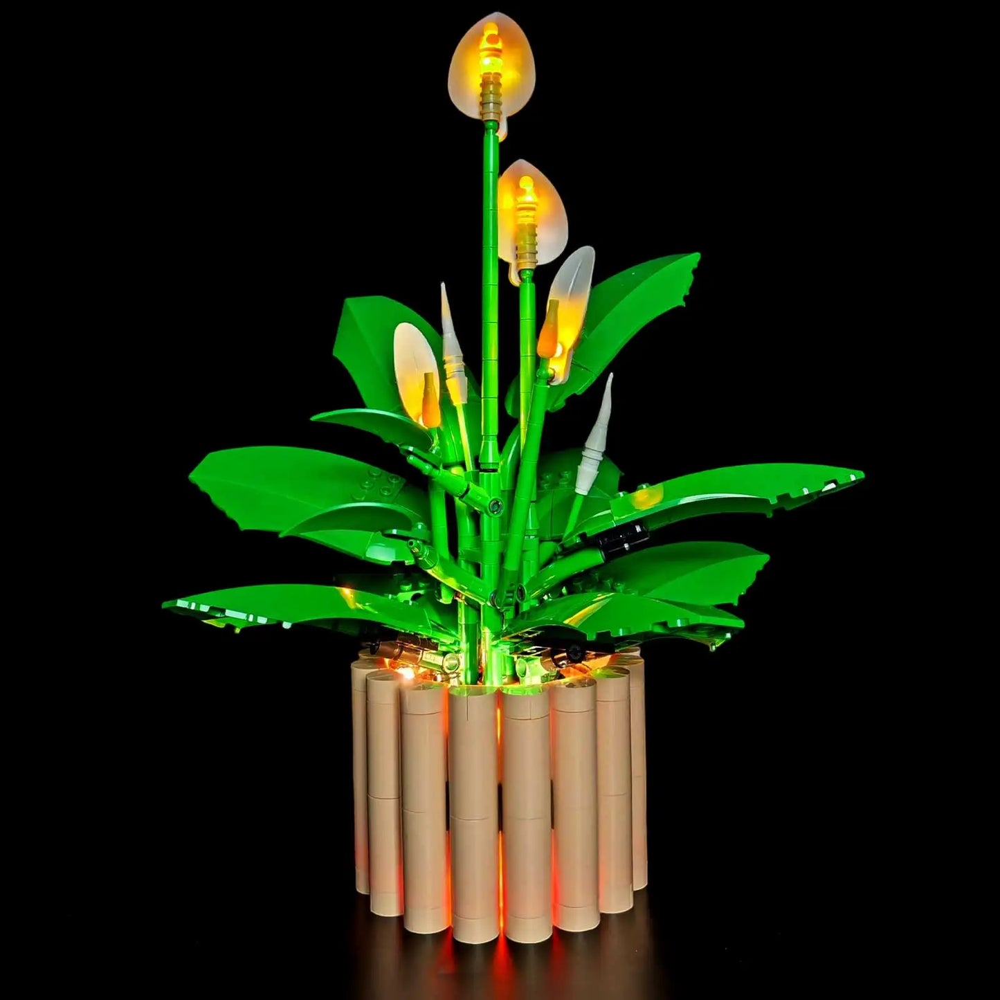 11504 Peace Lily Light Kit