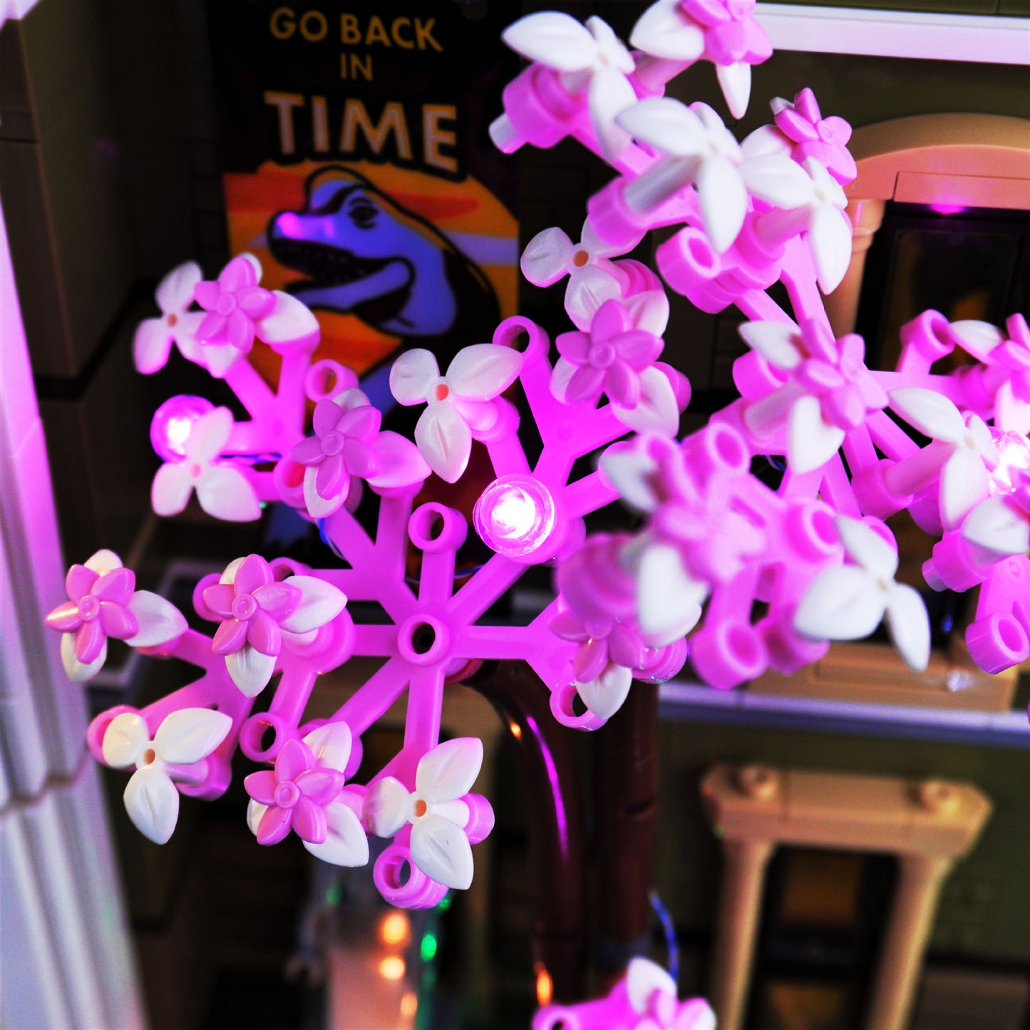 Natural History Museum Light Kit