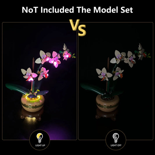 10343 Mini Orchid Light Kit
