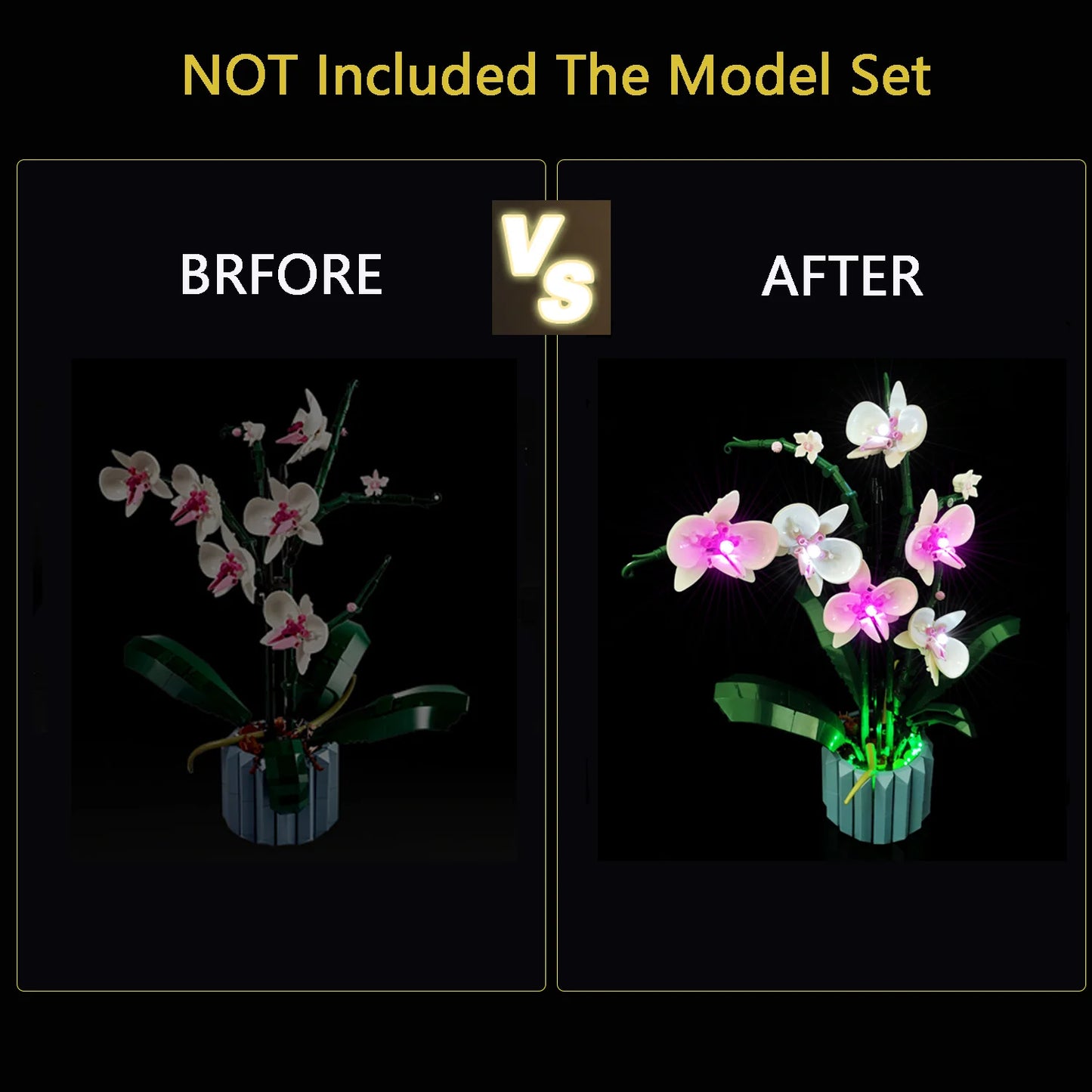 10311 Orchid Light Kit