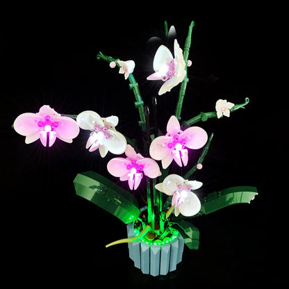 10311 Orchid Light Kit