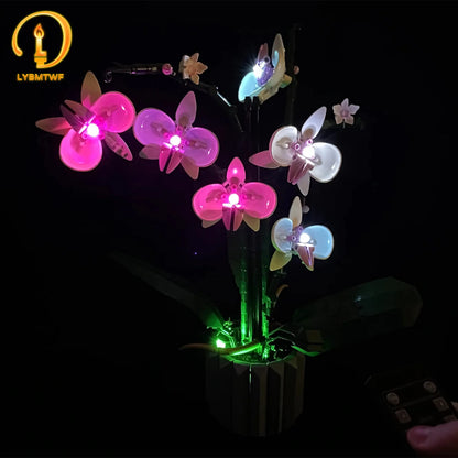 10311 Orchid Light Kit