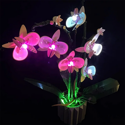 10311 Orchid Light Kit