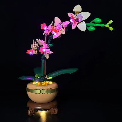 10343 Mini Orchid Light Kit
