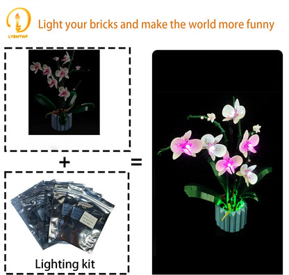 10311 Orchid Light Kit