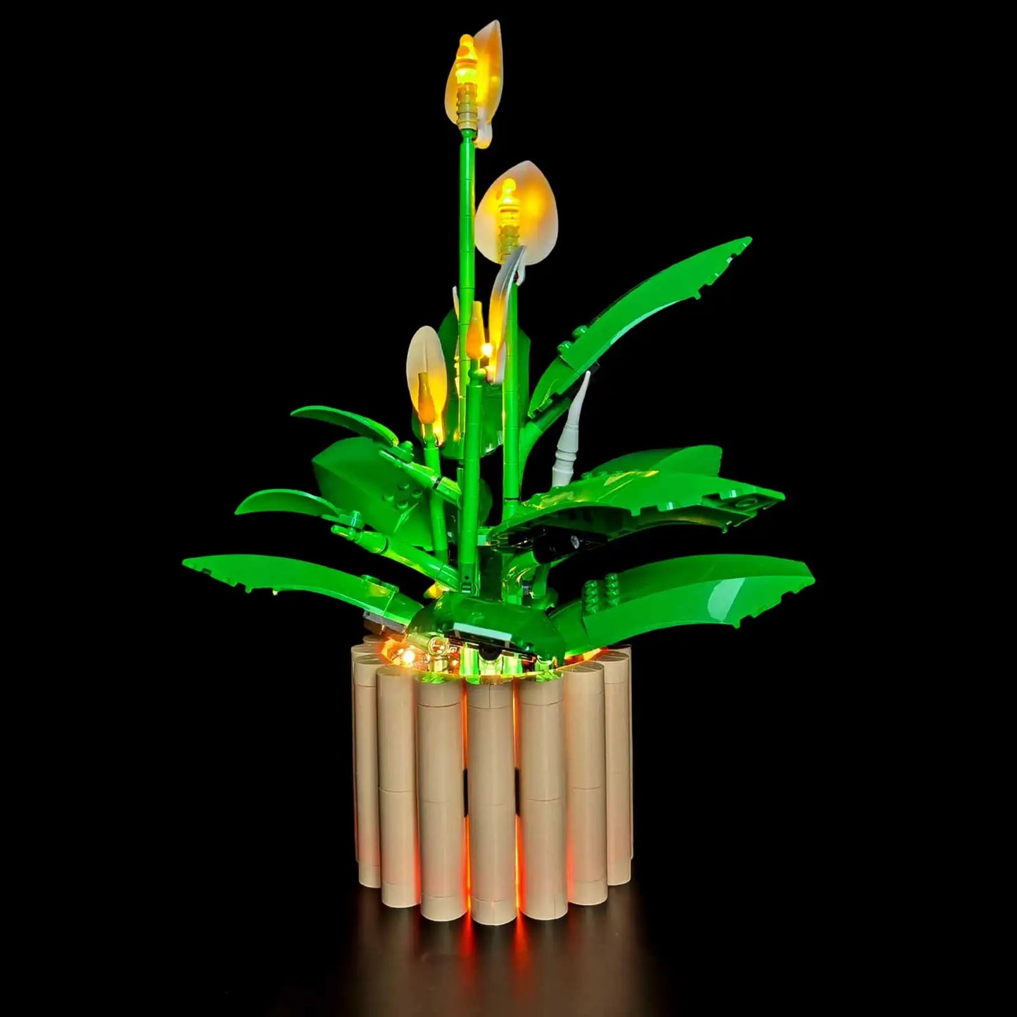 11504 Peace Lily Light Kit