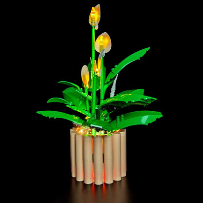 11504 Peace Lily Light Kit