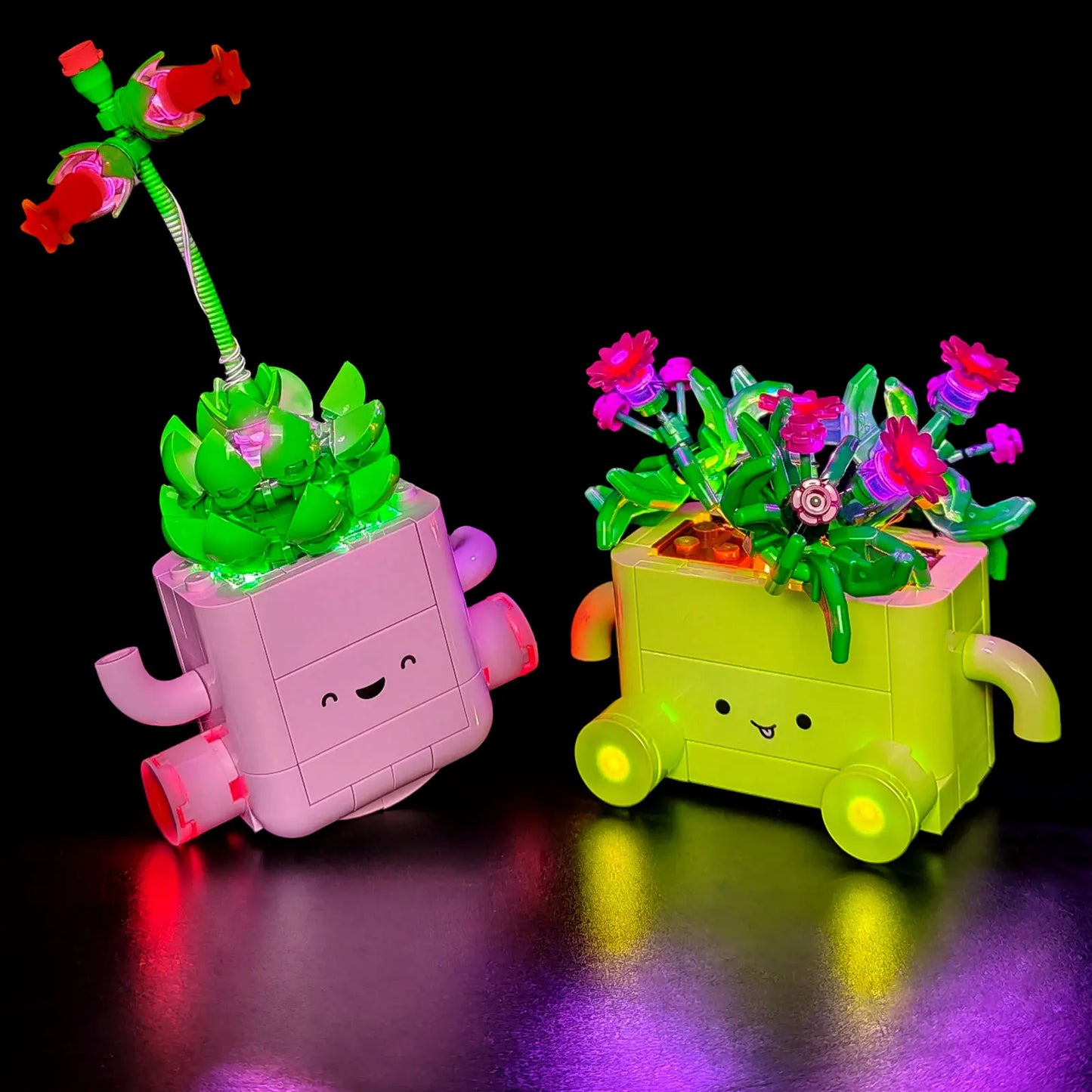 11506 Rocking Plants Light Kit