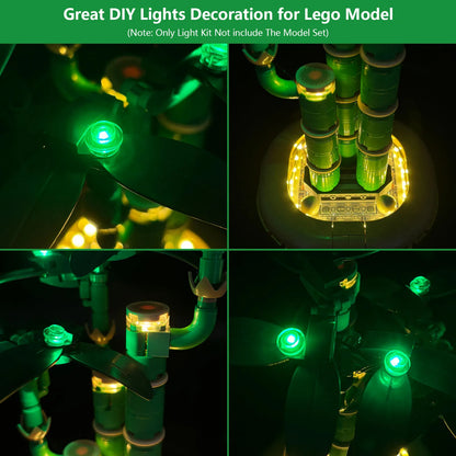 10344 Lucky Bamboo Light Kit
